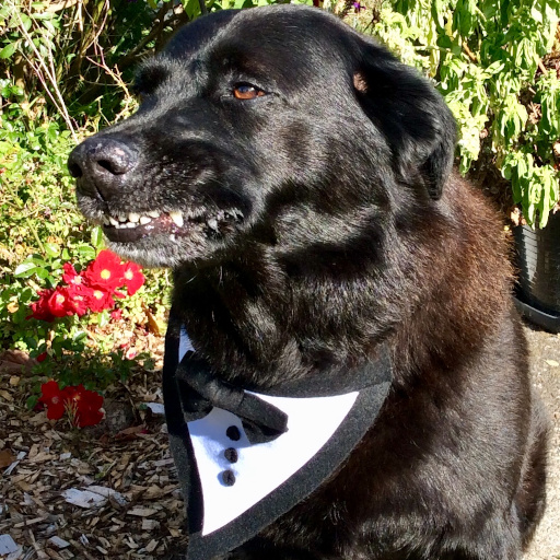 Willy looking gorgeous